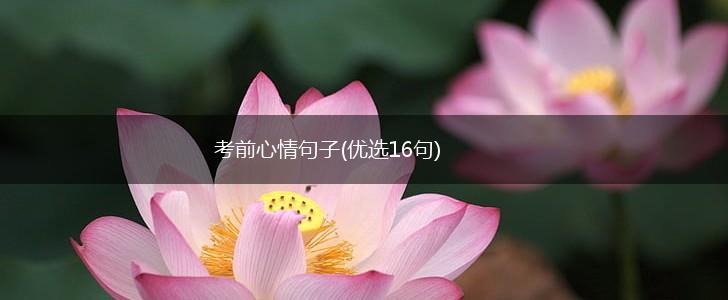 考前心情句子(优选16句),第1张
