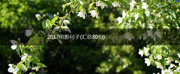 2017电影句子(汇总80句),第1张