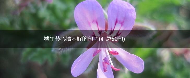 端午节心情不好的句子(汇总50句),第1张