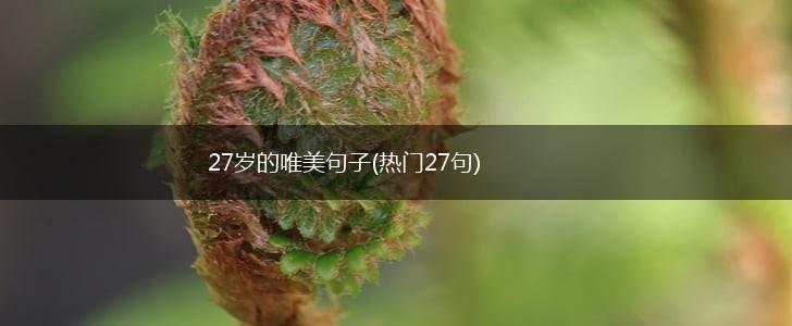 27岁的唯美句子(热门27句),第1张