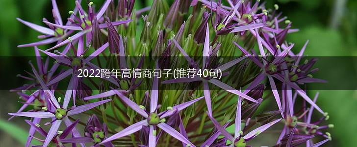 2022跨年高情商句子(推荐40句),第1张
