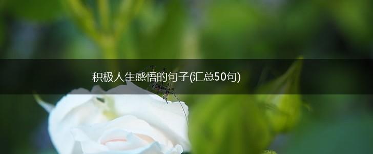 积极人生感悟的句子(汇总50句),第1张