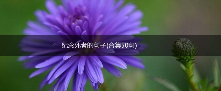 纪念死者的句子(合集50句),第1张