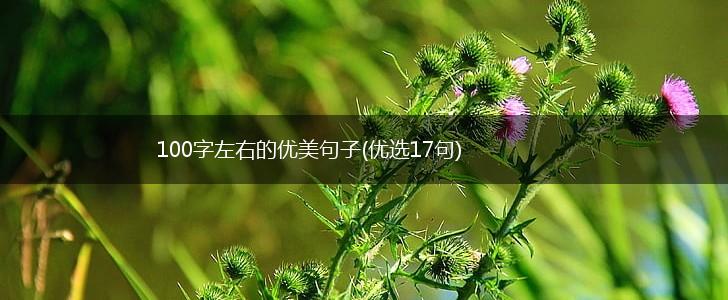 100字左右的优美句子(优选17句),第1张