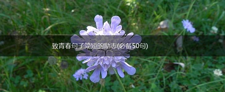 致青春句子简短的励志(必备50句),第1张