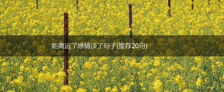 距离远了感情淡了句子(推荐20句),第1张
