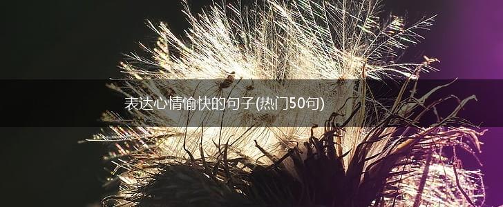 表达心情愉快的句子(热门50句),第1张