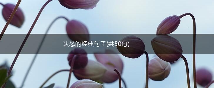认怂的经典句子(共50句),第1张