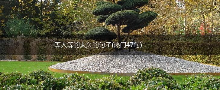 等人等的太久的句子(热门47句),第1张