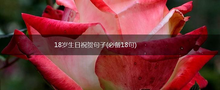 18岁生日祝贺句子(必备18句),第1张