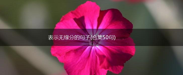 表示无缘分的句子(合集50句),第1张