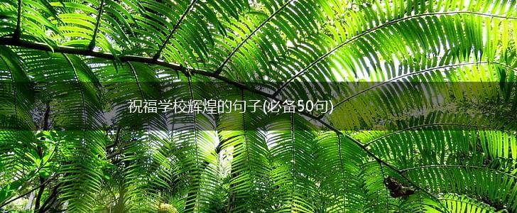 祝福学校辉煌的句子(必备50句),第1张