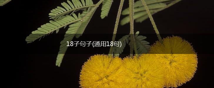 18子句子(通用18句),第1张