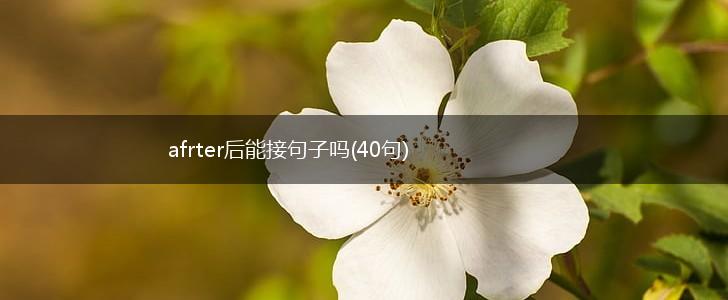 afrter后能接句子吗(40句),第1张
