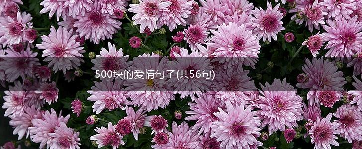 500块的爱情句子(共56句),第1张