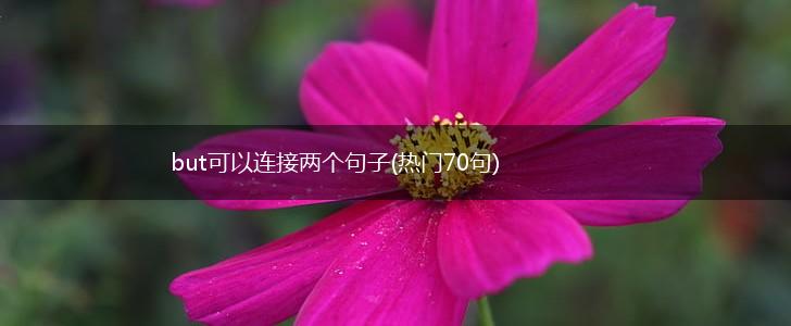 but可以连接两个句子(热门70句),第1张