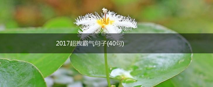 2017超拽霸气句子(40句),第1张