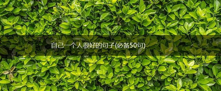 自己一个人很好的句子(必备50句),第1张