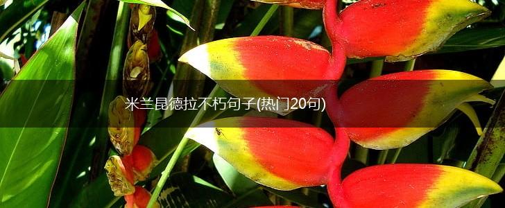 米兰昆德拉不朽句子(热门20句),第1张
