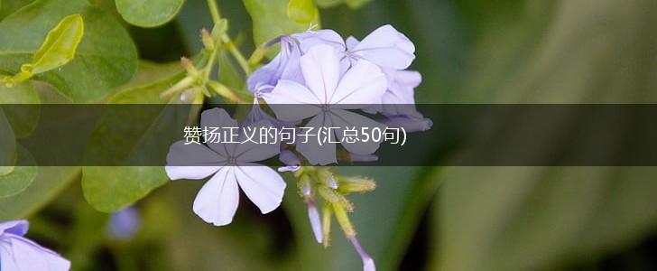 赞扬正义的句子(汇总50句),第1张