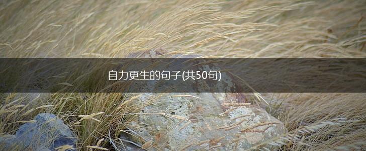 自力更生的句子(共50句),第1张