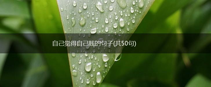 自己觉得自己贱的句子(共50句),第1张