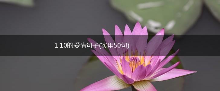 1 10的爱情句子(实用50句),第1张