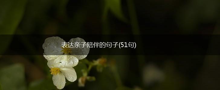 表达亲子陪伴的句子(51句),第1张