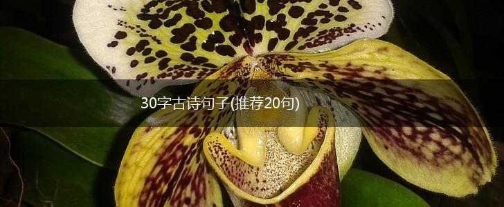 30字古诗句子(推荐20句),第1张