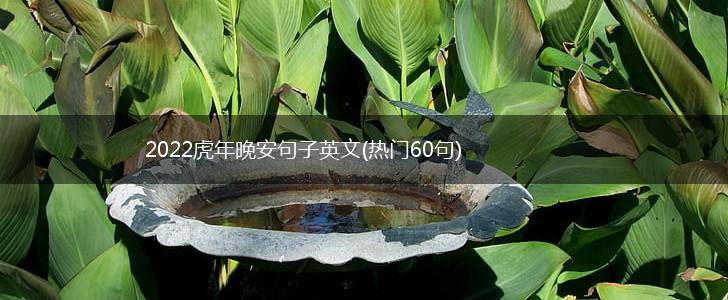 2022虎年晚安句子英文(热门60句),第1张