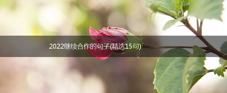2022继续合作的句子(精选15句),第1张