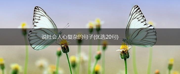 说社会人心复杂的句子(优选20句),第1张