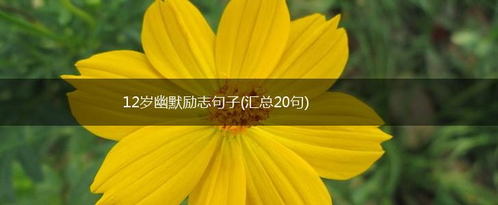 12岁幽默励志句子(汇总20句),第1张