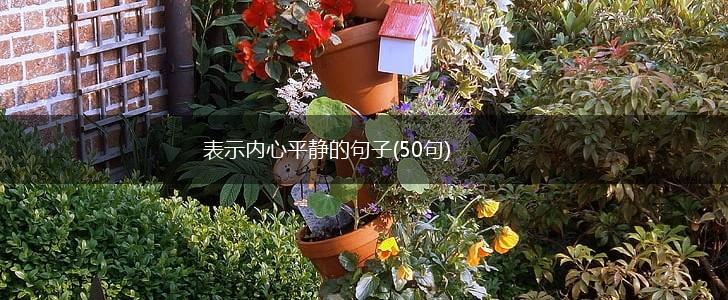 表示内心平静的句子(50句),第1张