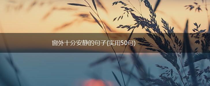 窗外十分安静的句子(实用50句),第1张