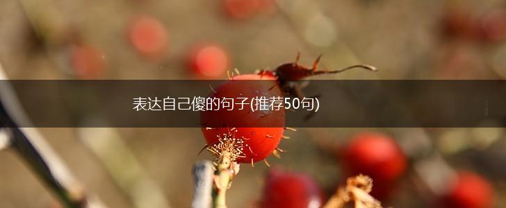 表达自己傻的句子(推荐50句),第1张