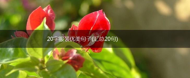 20字服装优美句子(汇总20句),第1张