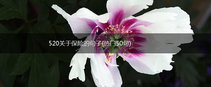 520关于保险的句子(热门50句),第1张