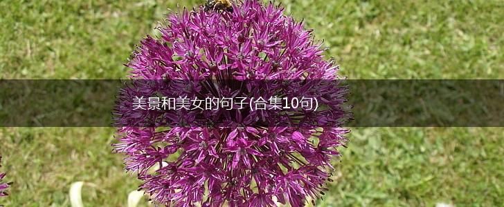 美景和美女的句子(合集10句),第1张