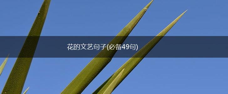 花的文艺句子(必备49句),第1张