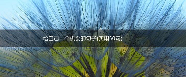 给自己一个机会的句子(实用50句),第1张