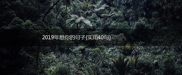 2019年想你的句子(实用40句),第1张