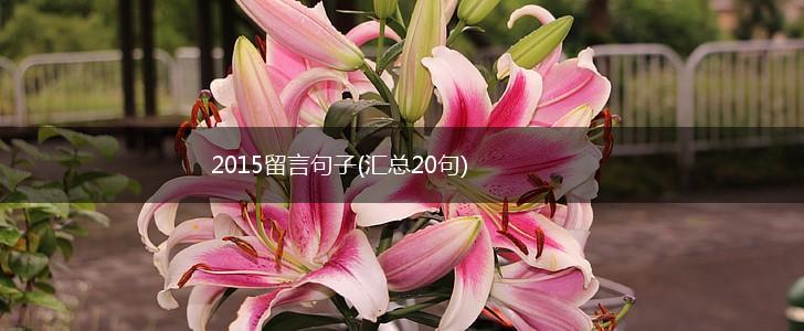 2015留言句子(汇总20句),第1张