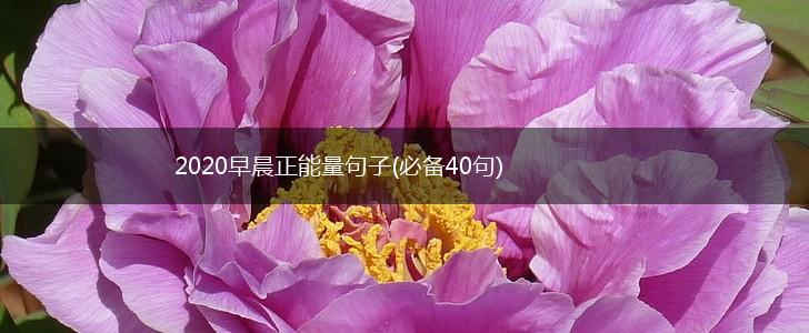 2020早晨正能量句子(必备40句),第1张