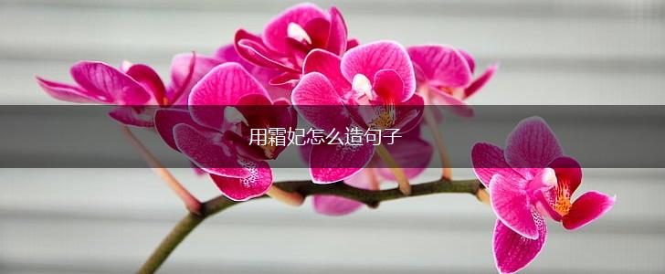用霜妃怎么造句子,第1张