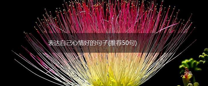表达自己心情好的句子(推荐50句),第1张