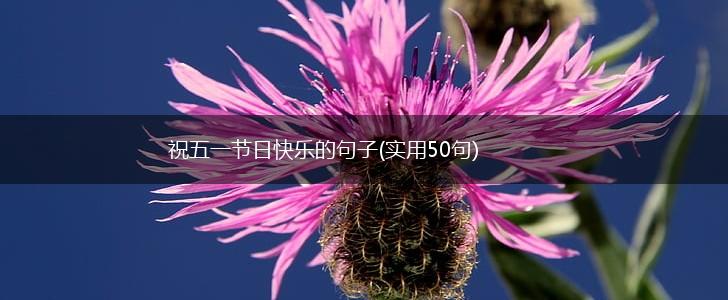 祝五一节日快乐的句子(实用50句),第1张