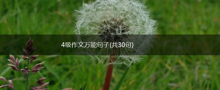 4级作文万能句子(共30句),第1张