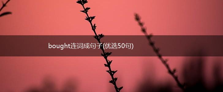 bought连词成句子(优选50句),第1张