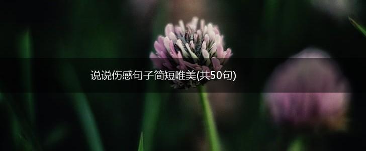 说说伤感句子简短唯美(共50句),第1张